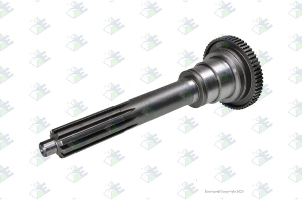 EURORICAMBI-60530685-3892622901-INPUT SHAFT 60 T.