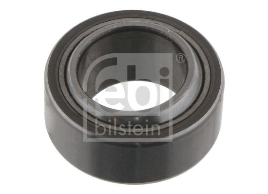 SKF-GE25C-06369500309